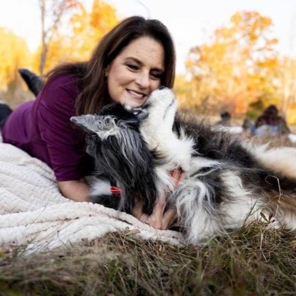 Meet your Posher, Tracey - Picture 1 of 1